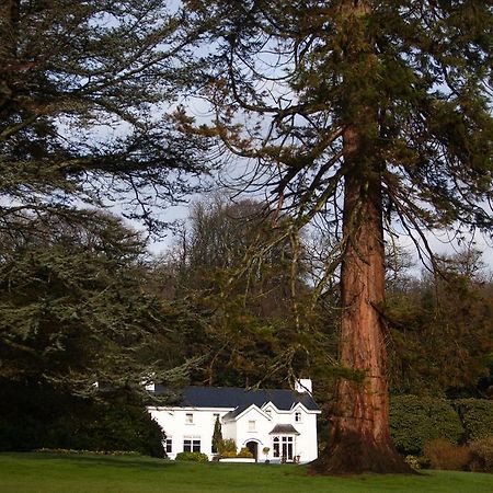 Ynyshir Restaurant And Rooms Machynlleth Εξωτερικό φωτογραφία