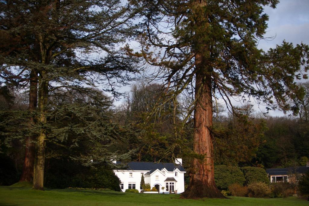 Ynyshir Restaurant And Rooms Machynlleth Εξωτερικό φωτογραφία